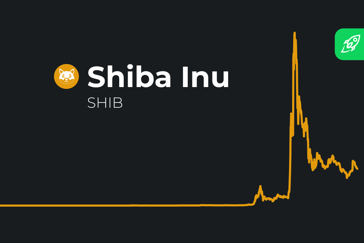 shiba-inu-coin